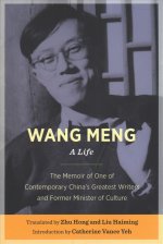 Wang Meng