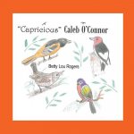 Capricious Caleb O'Connor