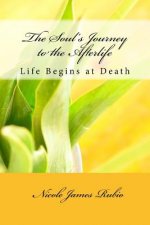 The Soul's Journey to the Afterlife: Life Begins at Death