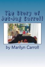 The Story of Jet-Jag Carroll: If Your Cat Has Feline Leukemia, It Doesn't Have To Die!