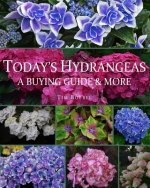 Today's Hydrangeas: A Buying Guide & More