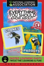 Everything You Should Know About Cranes and Parrots