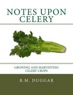 Notes Upon Celery: Growing and Harvesting Celery Crops
