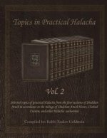 Topics in Practical Halacha Vol. 2