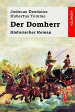 Der Domherr: Historischer Roman