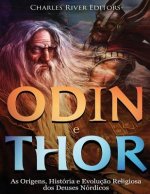 Odin e Thor: As Origens, História e Evoluç?o Religiosa dos Deuses Nórdicos