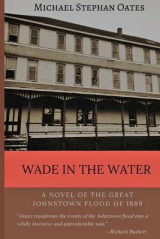 Wade In The Water: A novel of the great Johnstown flood