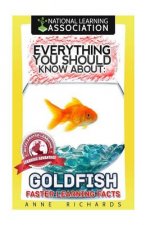 Everything You Should Know About Goldfish