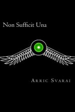 Non Sufficit Una