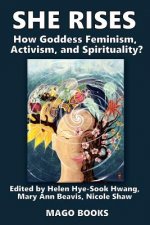 She Rises Volume 2 (Color): How Goddess Feminism, Activism, and Spirituality?