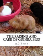 The Raising and Care of Guinea Pigs: A Complete Guide to the Breeding and Exhibiting of Domestic Cavies