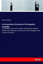 A Compendious Grammar of the Egyptian Language