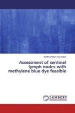 Assessment of sentinel lymph nodes with methylene blue dye feasible