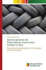Gerenciamento de Pneumaticos Inserviveis