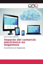 Impacto del comercio electronico en Sogamoso