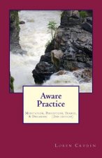 Aware Practice: Meditation, Perception, Trance, & Dreaming: Second Edition