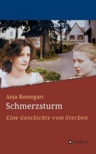 Schmerzsturm