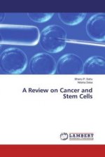 A Review on Cancer and Stem Cells