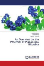 An Overview on the Potential of Pigeon pea Rhizobia