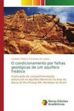 O condicionamento por falhas geologicas de um aquifero freatico