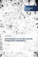 Introduction to Fly Ash and Its Perspective Utilization
