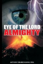Eye Of The Lord Almighty: ?For the eyes of the Lord run to and fro throughout the whole earth, to shew Himself strong in the behalf of them whos