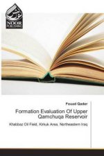 Formation Evaluation Of Upper Qamchuqa Reservoir