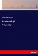 Joost Avelingh