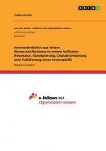 Ionenextraktion aus einem Wasserstoffplasma in einem helikalen Resonator. Konzipierung, Charakterisierung und Validierung einer Ionenquelle