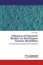 Influence of Polymeric Binders on Electrospun Ceramic Nanofibers