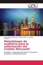Metodologia de auditoria para la valorizacion del Credito Mercantil