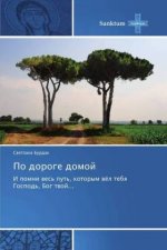 Po doroge domoj