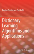 Dictionary Learning Algorithms and Applications