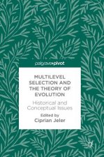 Multilevel Selection and the Theory of Evolution