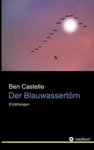 Der Blauwassertörn