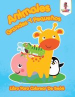 Animales Grandes Y Pequenos
