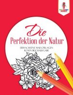 Perfektion der Natur