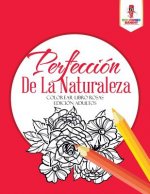 Perfeccion De La Naturaleza