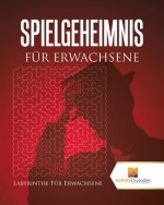 Spielgeheimnis Fur Erwachsene