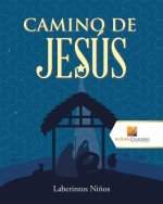 Camino De Jesus