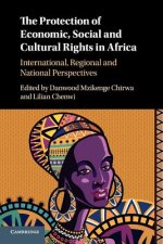 Protection of Economic, Social and Cultural Rights in Africa