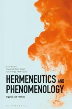 Hermeneutics and Phenomenology