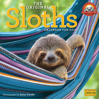 2019 Sloths Wall Calendar