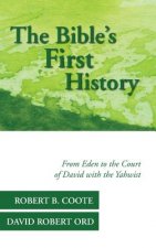 Bible's First History