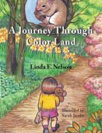 Journey Through Color Land