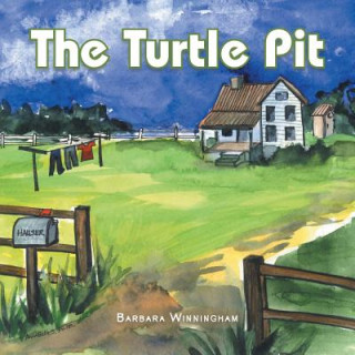 Turtle Pit