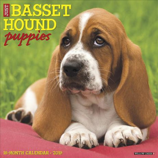 Just Basset Hound Puppies 2019 Wall Calendar (Dog Breed Calendar)