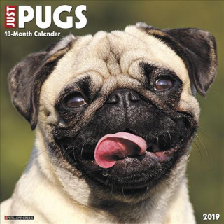 Just Pugs 2019 Wall Calendar (Dog Breed Calendar)