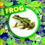 Life Cycle of a Frog