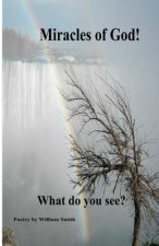 Miracles of God! What do you see?: Miracles of God! What do you see?